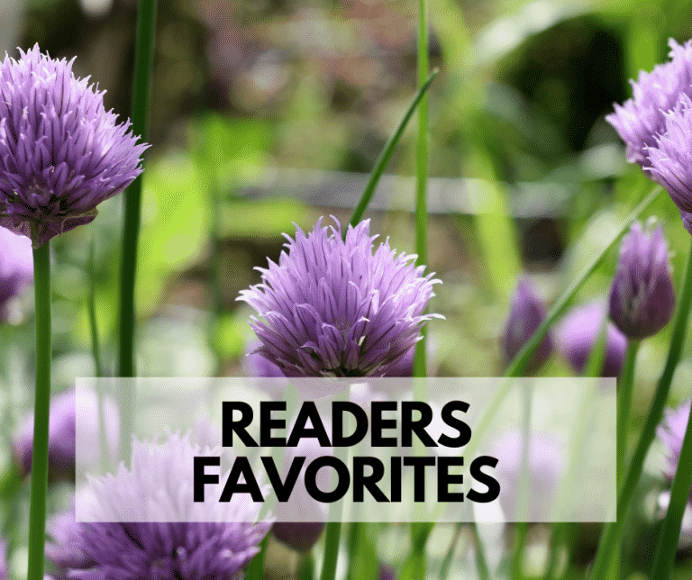 Readers Favorites Gardening Homesteading Posts.