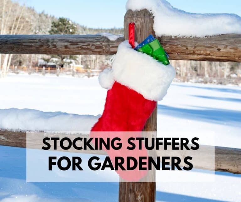 Stocking Stuffers for Gardeners