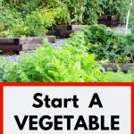 Vegetable Garden