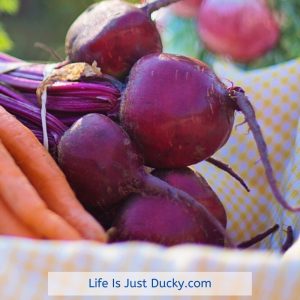 cool season vegetable beets