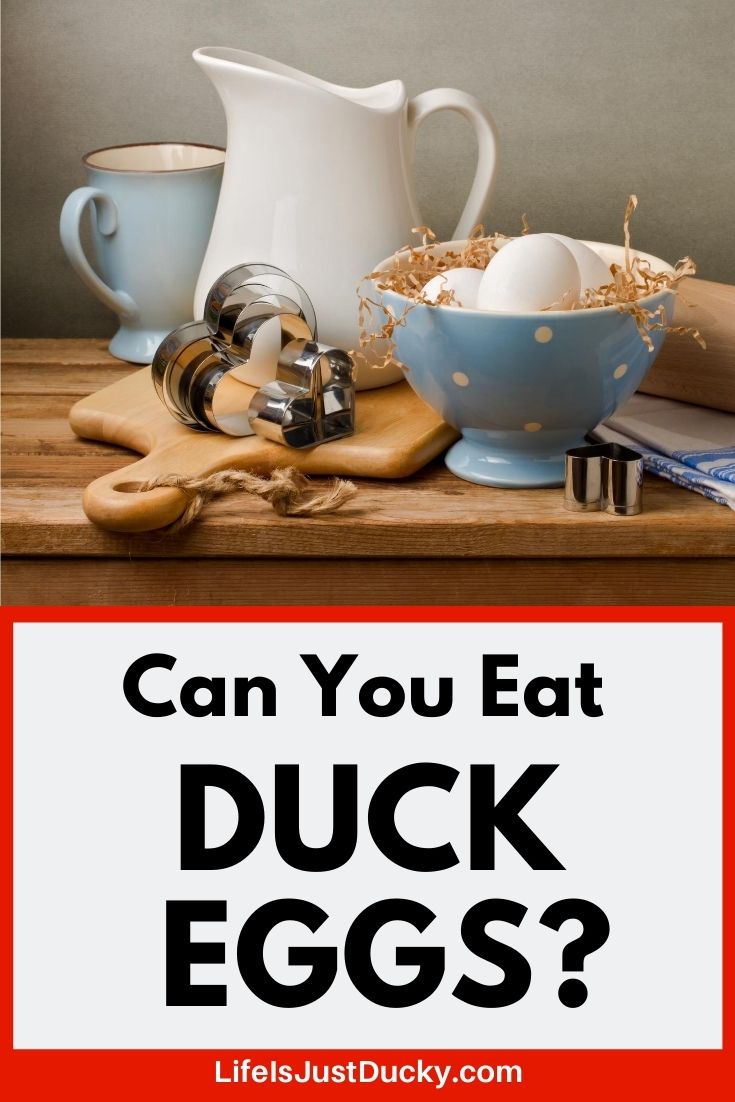 Duck Eggs
