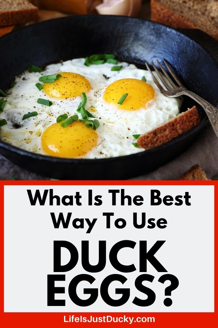 Duck Eggs