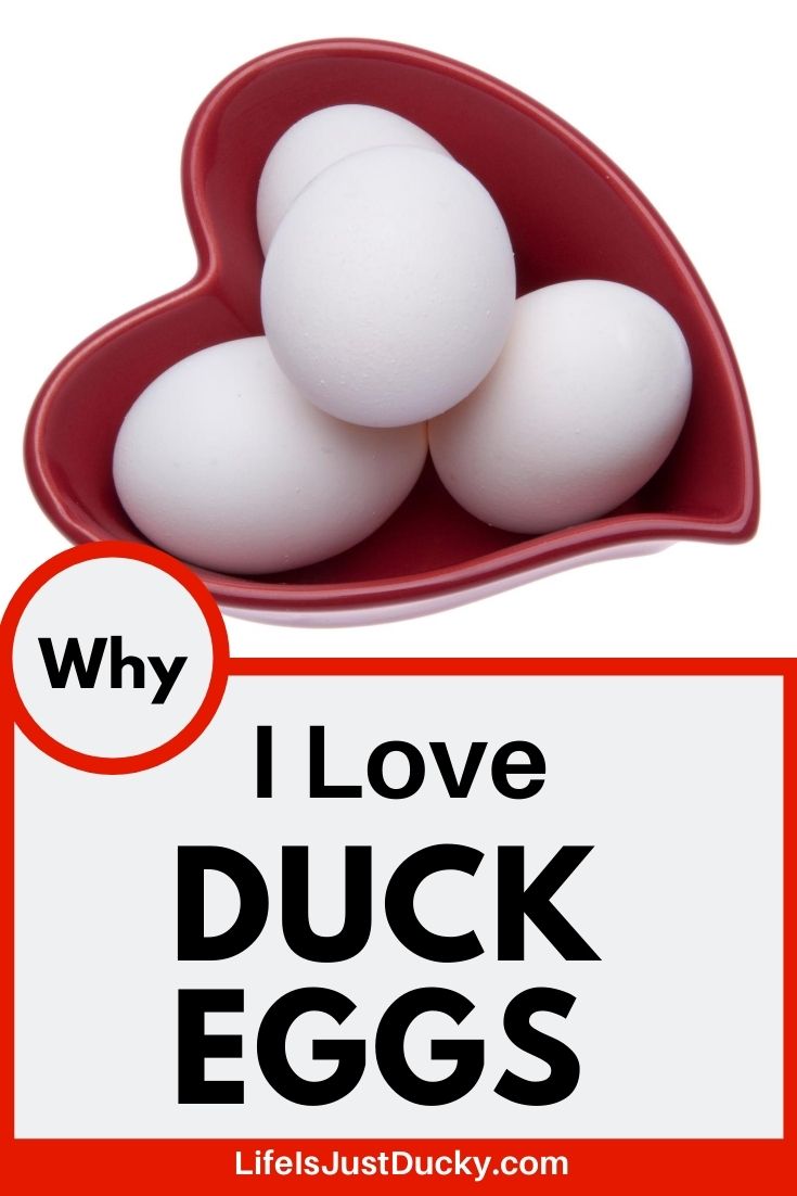 Duck Eggs