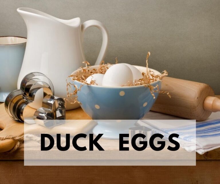 Duck Eggs