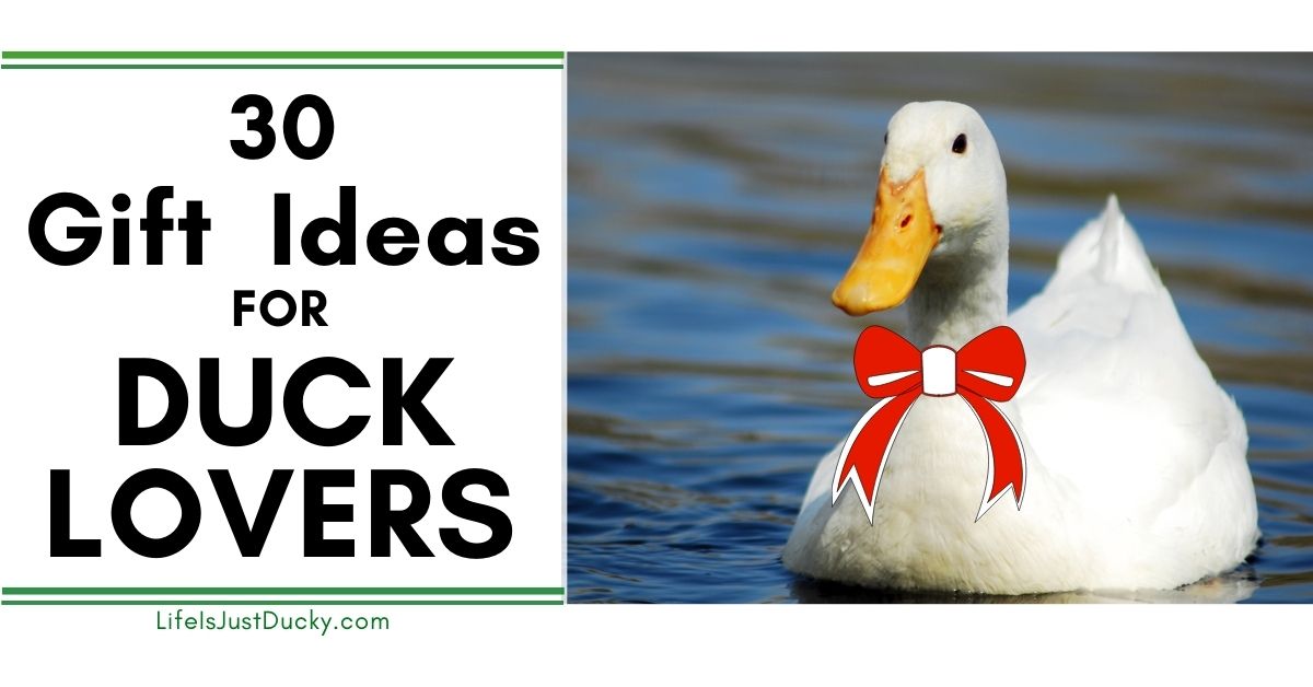 Duck gifts for sales toddlers