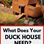 Duck House.