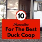 Duck House.
