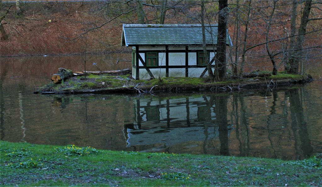 duck house.