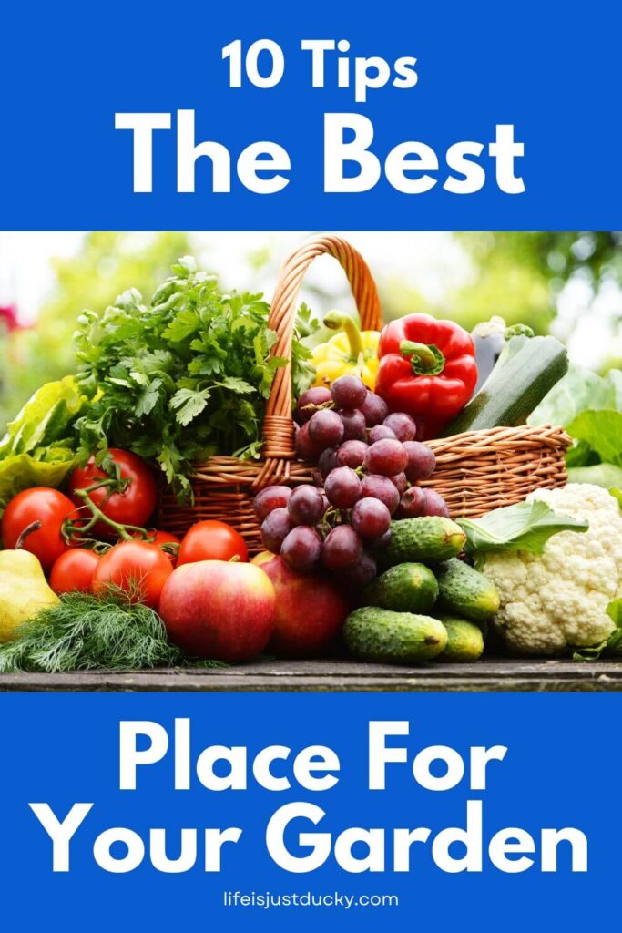 Basket full of garden vegetables and fruit.