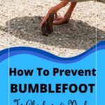What Causes Bumblefoot In Ducks?