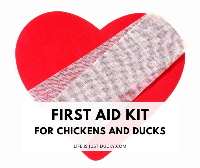 Heart with gauze wrap.