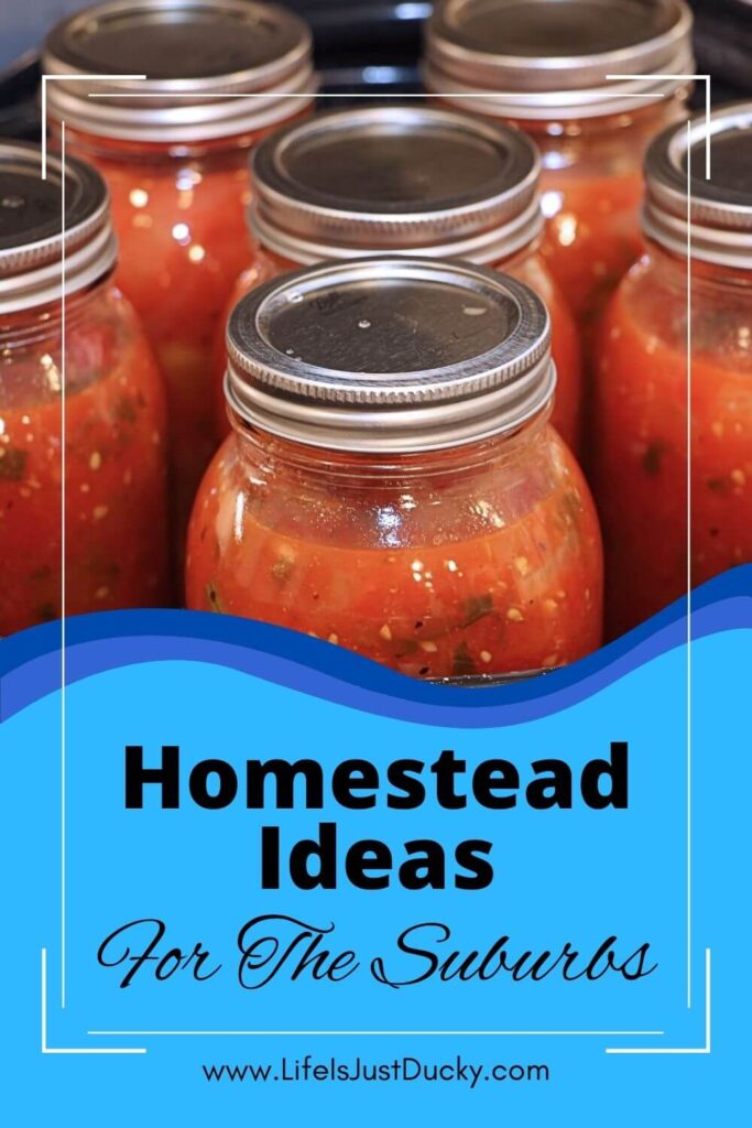 Canned tomatoes, for suburban homesteading.