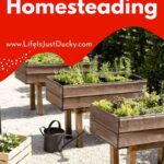 Elevated garden beds for your suburban homestead.