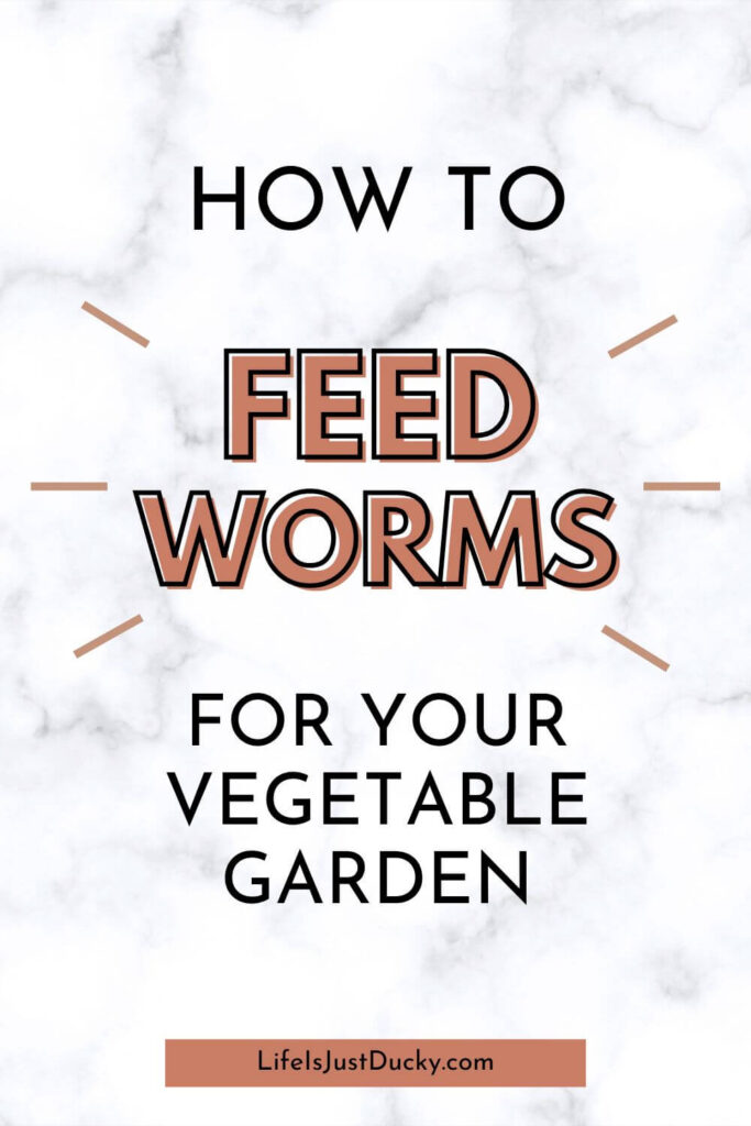 Words. How to feed worms for your vegetable garden.
