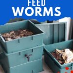 Worm bin.