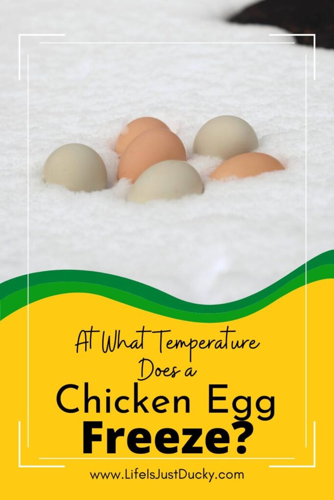Keep Eggs From Freezing.