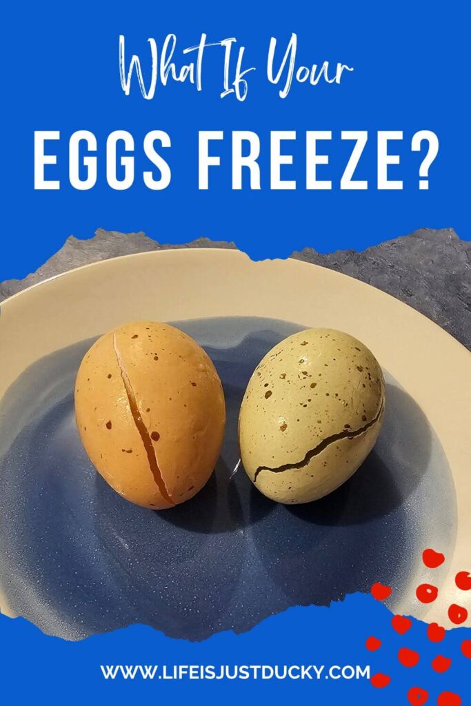 Cracked, Frozen Eggs On A Blue Plate.