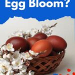 Dark eggs in a basket with flowers.