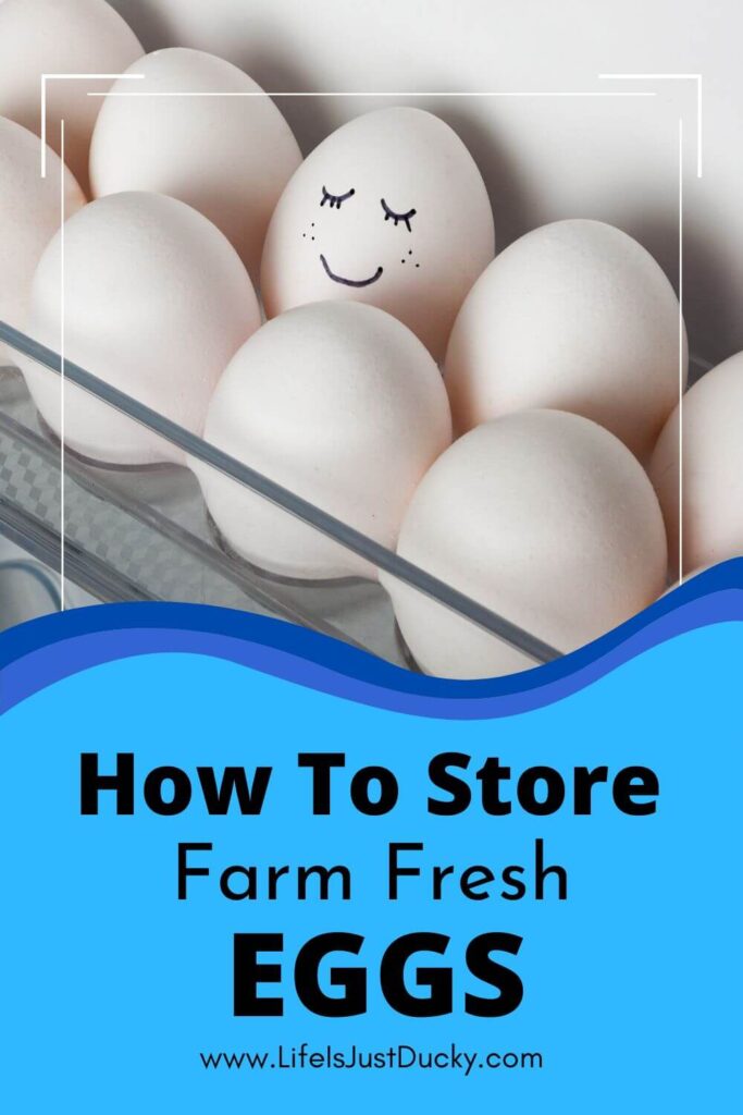 Eggs In The Refrigerator. One with a smiley face.