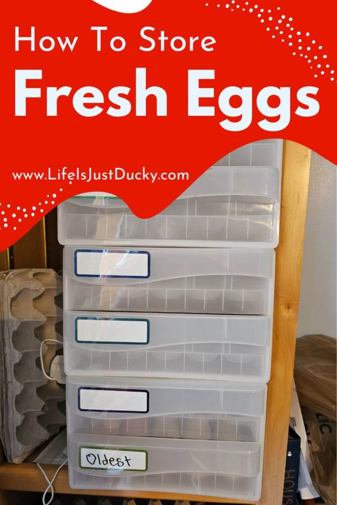 Egg storage rack.