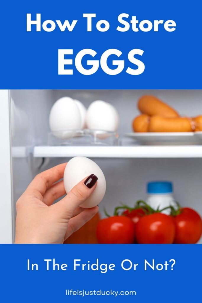 Eggs in the refrigerator.
