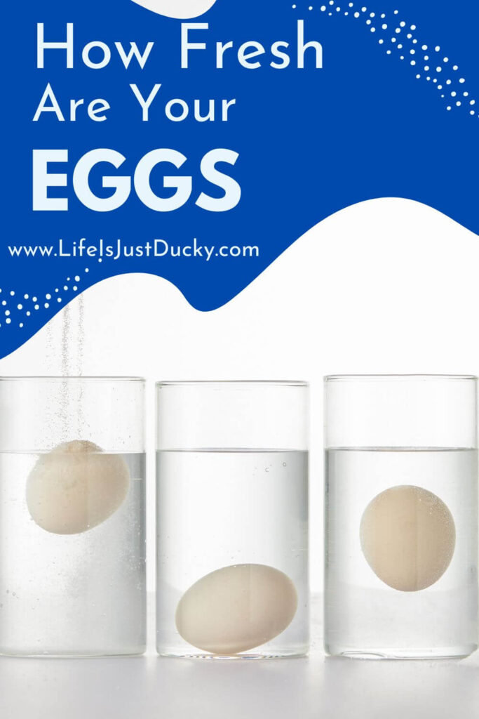 Egg Float Test.