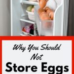 Eggs in the refrigerator.