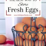Eggs in a metal egg basket.