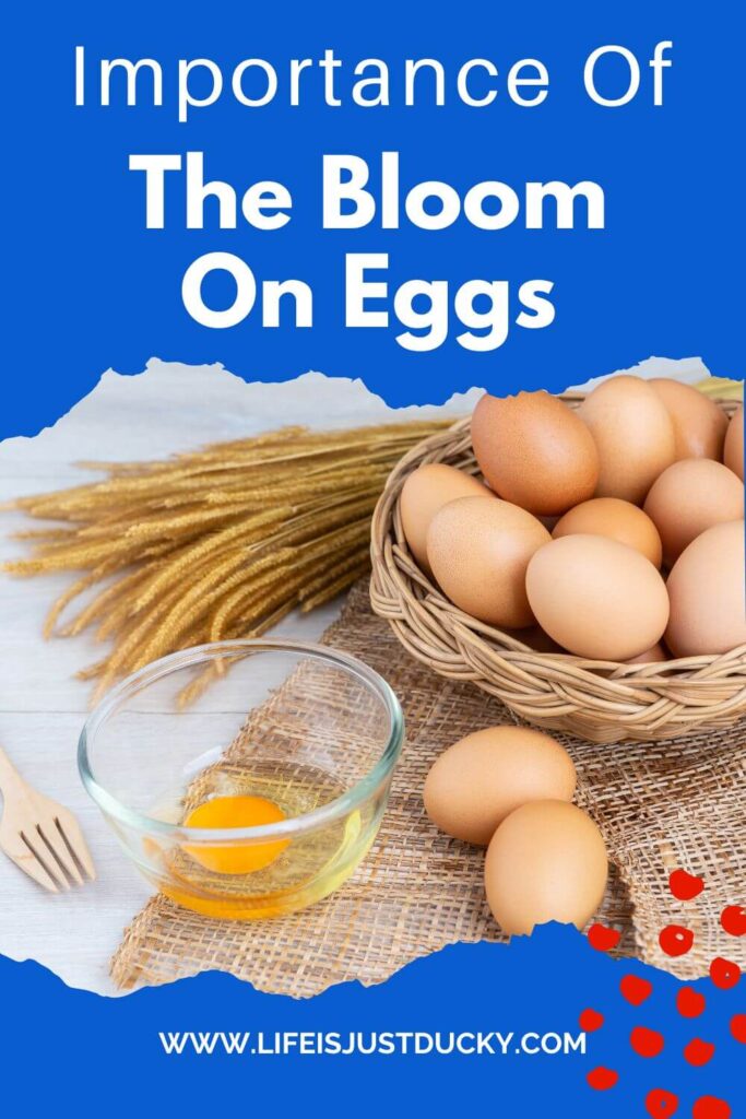 Eggs on a table.