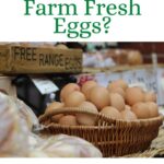 Basket of brown eggs.