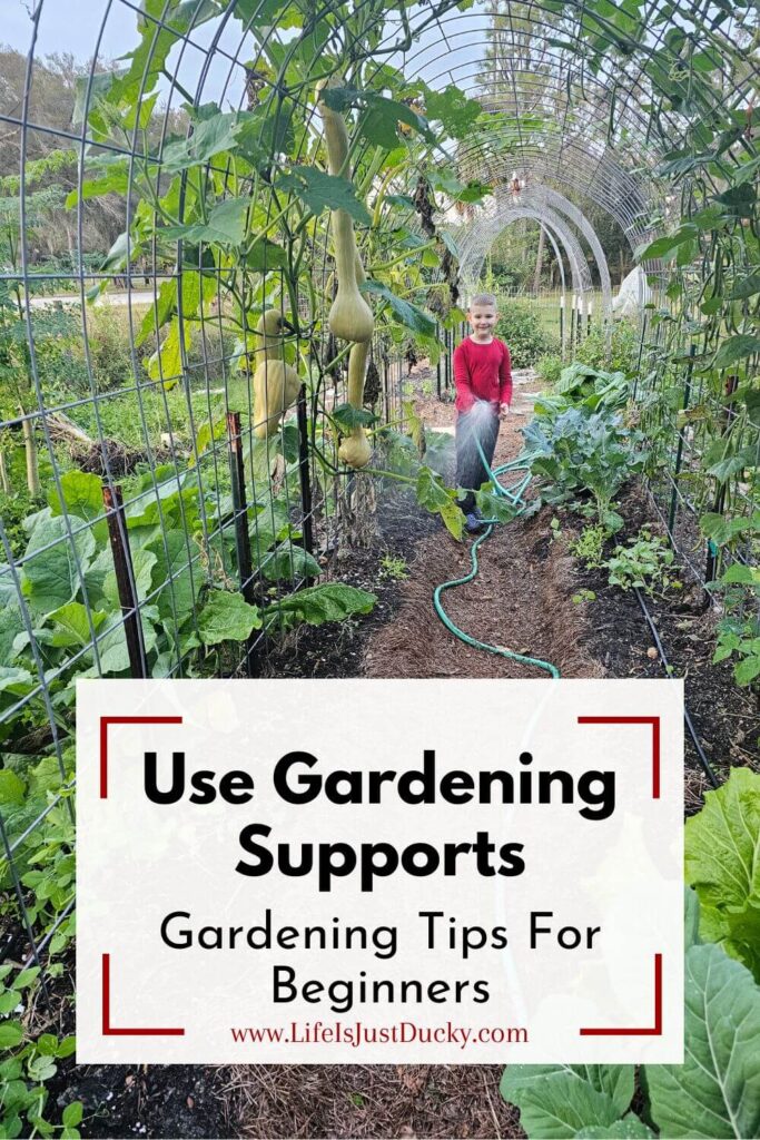 Vegetable Gardening For Beginners.