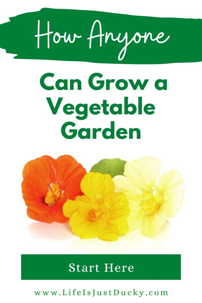 Nasturtium