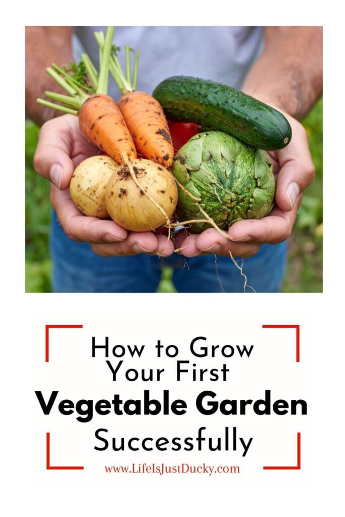 Handfull of vegetables.