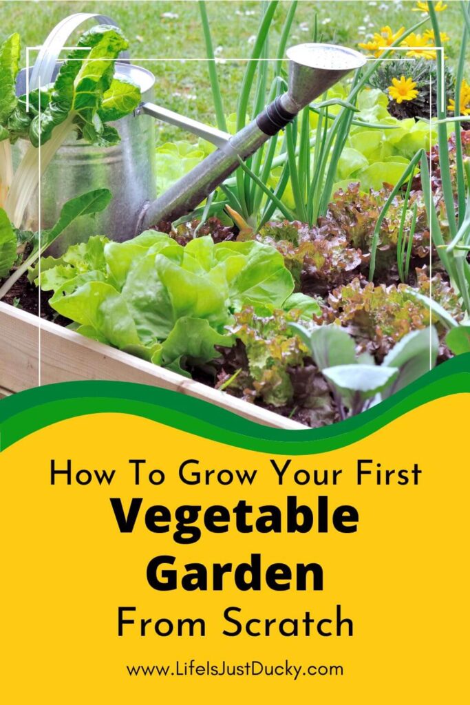 Vegetable Garden.