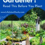 Vegetable Garden.