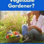 Lady eating from a vegetable basket.