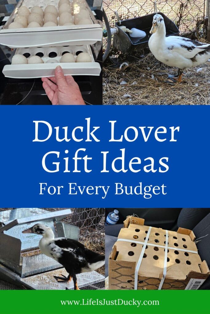 Collage of gifts for a duck lover.