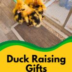 Ducklings in a basket.